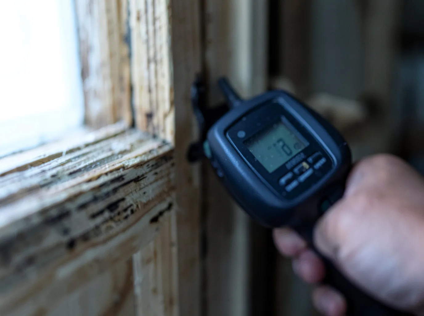 Moisture Inspection And Documentation in Wilmington, MA